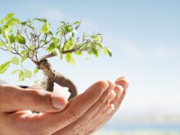 Η διαμόρφωση και ανάπτυξη του εαυτού κατά τον Carl Rogers