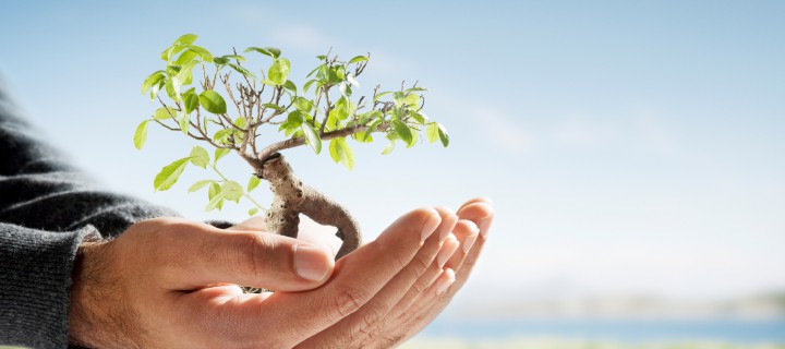 Η διαμόρφωση και ανάπτυξη του εαυτού κατά τον Carl Rogers