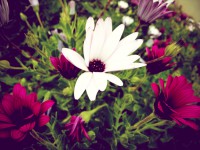 Ζωή χρωματισμένη με συναισθήματα…