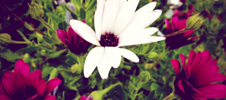 Ζωή χρωματισμένη με συναισθήματα…