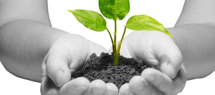 Ομάδα υποστήριξης, αυτογνωσίας και προσωπικής ανάπτυξης